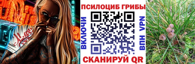 Псилоцибиновые грибы мицелий  Кодинск 